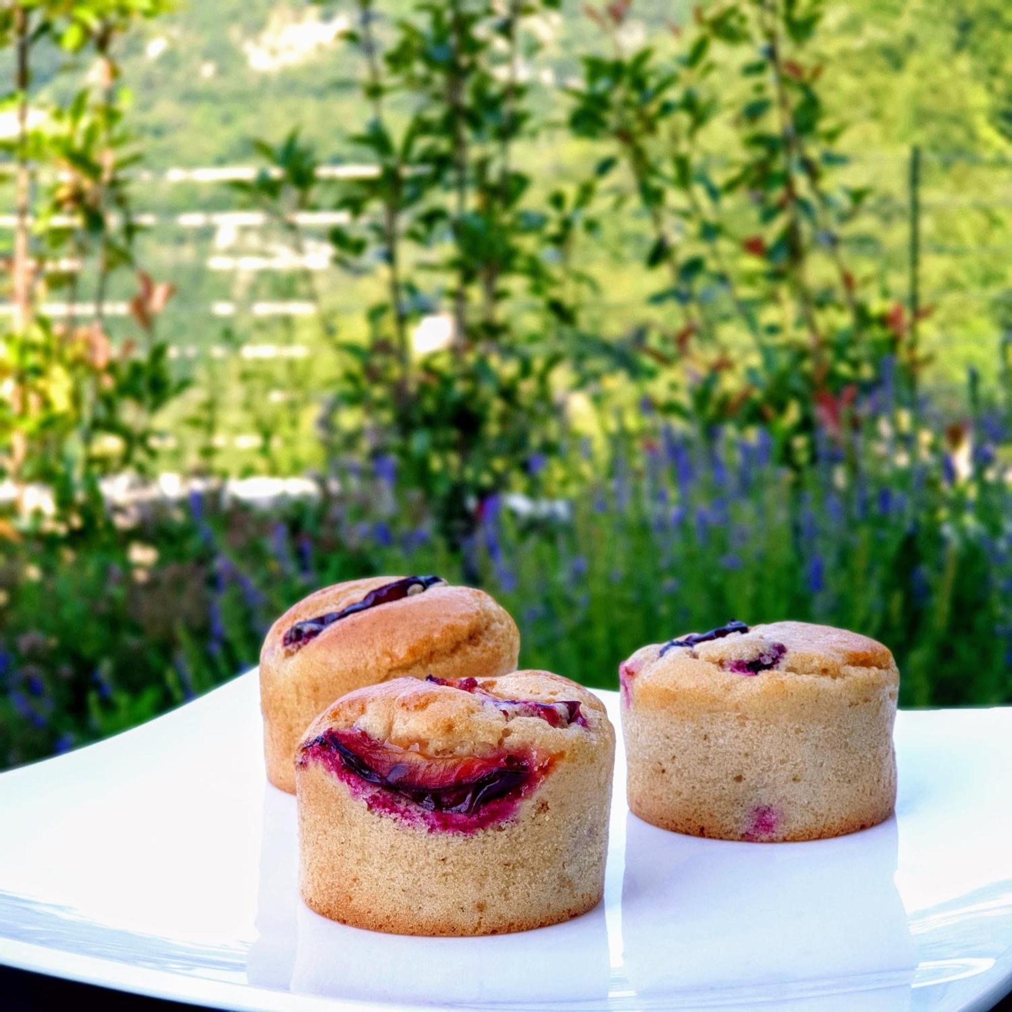 Arpa Di Pietra - Luxury B&B Spa Bio Mori Bagian luar foto